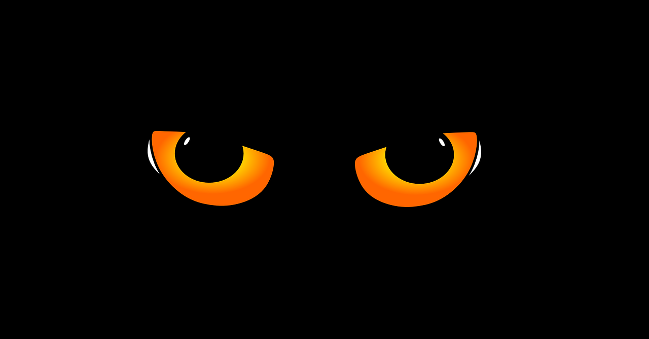 Glowing orange eyes in a completely dark backround