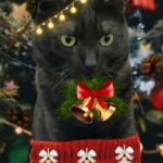 Happy Holidays photo of Gracie, the UTIA Chief Infurmation Security Kitty