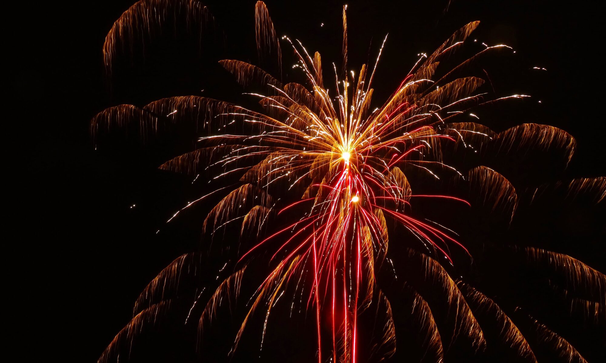Picture of fireworks