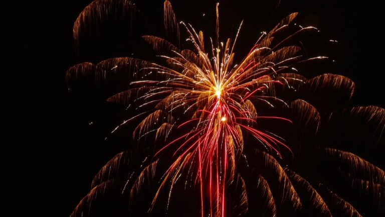 Picture of fireworks